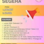 CV Mulyo Joyo Corp company logo