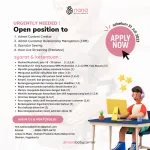 Nana Baby Carrier company logo