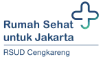 Rumah Sehat Apriliya company logo