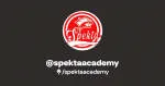 Spekta Academy company logo
