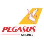 PT PEGASUS MAJU - YOGYAKARTA company logo