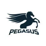 PT Pegasus Maju company logo
