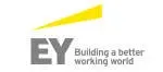 EY company icon