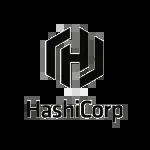 HashiCorp company icon